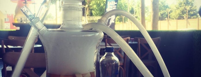 The White Rabbit Brew & Hookah is one of Posti che sono piaciuti a Esra.