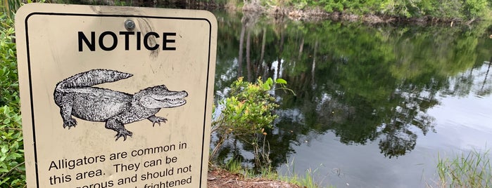 Sand Lake at Wekiwa State Park is one of Orlando.
