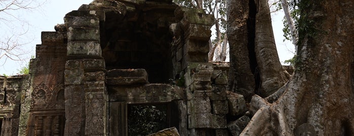 Ta Prohm is one of Phat's Saved Places.