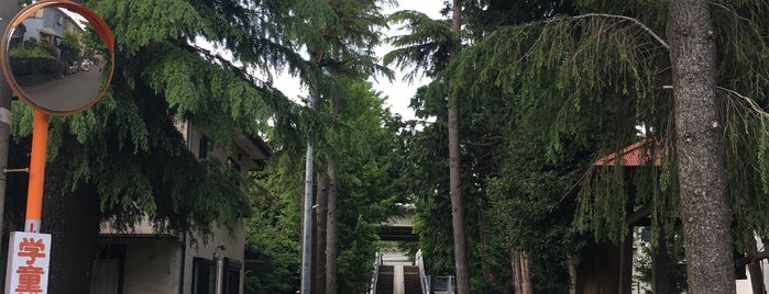 神明神社 is one of 神奈川東部の神社(除横浜川崎).