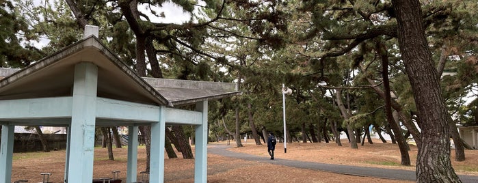 Nishikinohama Park is one of 大阪みどりの百選.