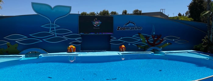 Zoomarine Dolphin Stadium is one of Algarve.