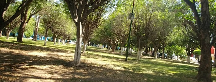 Parque Caguama is one of สถานที่ที่ Sergio Alejandro ถูกใจ.