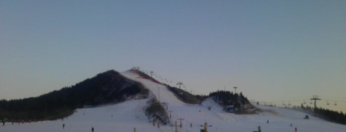 莲花山滑雪场 Lianhuashan Ski Resort is one of Ski & Snowboard China 滑雪和单板滑雪中国.