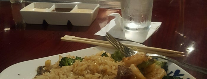 Miyabi Japanese Steakhouse & Sushi Bar is one of The 15 Best Places for Teriyaki in Charleston.