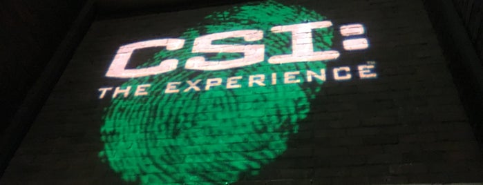 CSI: The Experience is one of Check-In.