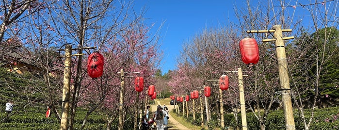 ลีไวน์รักไทย รีสอร์ต is one of Moto Ride Places.