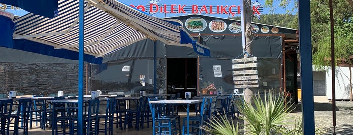 Dilek Balıkçılık is one of Gidilecek yemek.