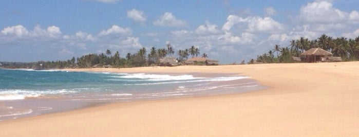 Marakolliya Beach is one of Шри-ланка.
