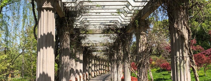 China Suzhou Botanical Garden is one of Suzhou List 2023.