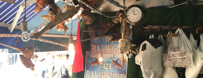 taze balikci is one of Aris'in Beğendiği Mekanlar.