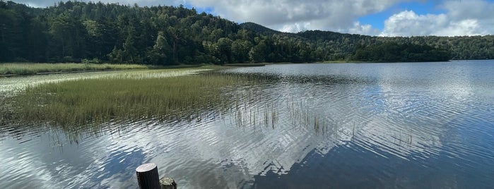 Lake Ozenuma is one of 花の百名山.