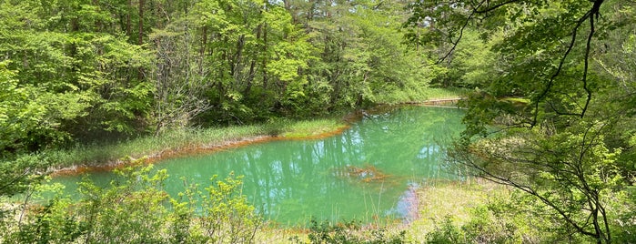 赤沼 is one of 行った所＆行きたい所＆行く所.