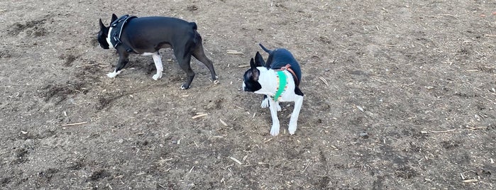 Big Sky Dog Park is one of Dog Parks.