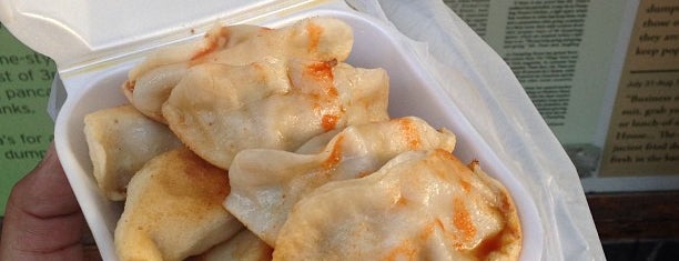Vanessa's Dumpling House is one of The Best Chinese Food in NYC.