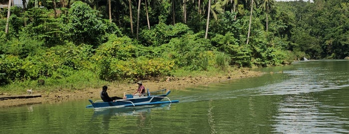 Loboc River is one of Travel Time :).