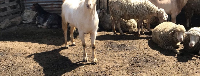 İki Kardeşler Çiftliği is one of Lieux qui ont plu à Sercan.