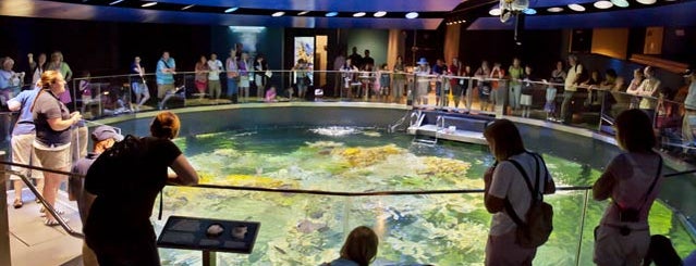 New England Aquarium is one of Boston.