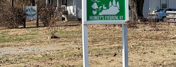 Monkey's Eyebrow, KY is one of Unusual place names (for Japanese).