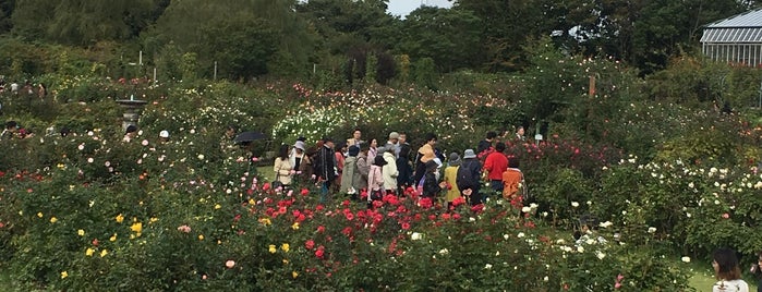 Keisei Rose Garden is one of Sada : понравившиеся места.