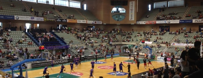Palacio de los Deportes is one of Pabellones de baloncesto.
