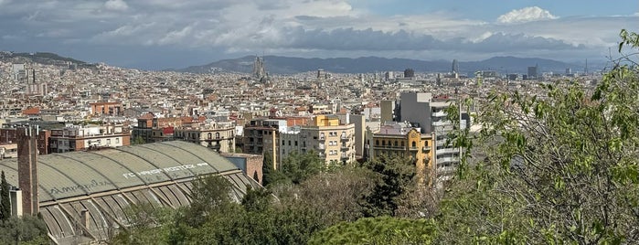 Barselona is one of Barcelona.