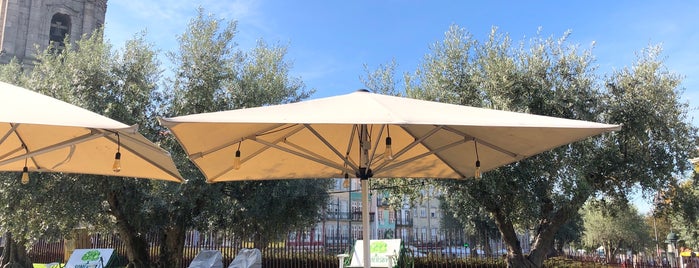 Base is one of Portgual.