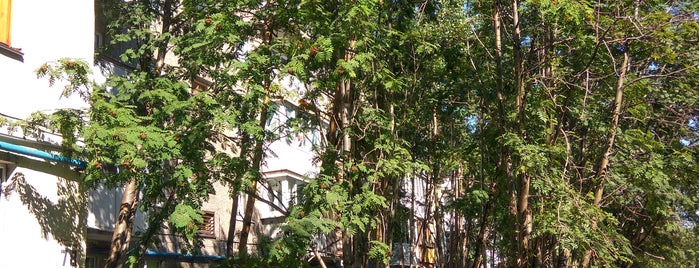 Героев - Североморцев, 78/3 is one of Lugares favoritos de Константин.
