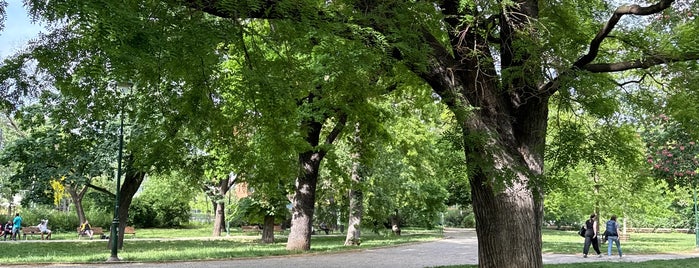 Kaizlovy sady is one of Pražské parky.