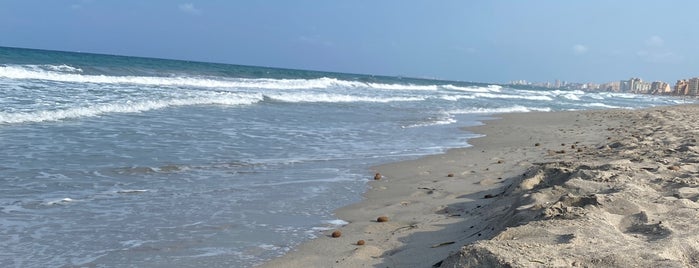 Mar Mayor La Manga is one of Playas.