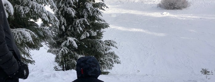 Blewett Pass is one of Chelsea'nın Beğendiği Mekanlar.