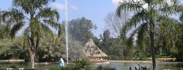 Zoológico Guadalajara is one of Lugares por ir (o ya fui).