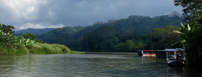 Jungle Crocodile Safari is one of Costa Rica 2016.