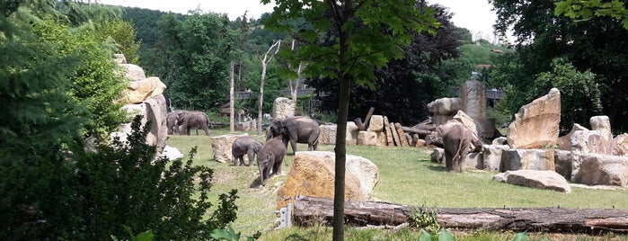 Zoo Praha is one of Orte, die Lost gefallen.