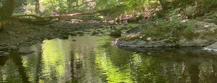 Tom's Creek Rd is one of Poconos Trip.