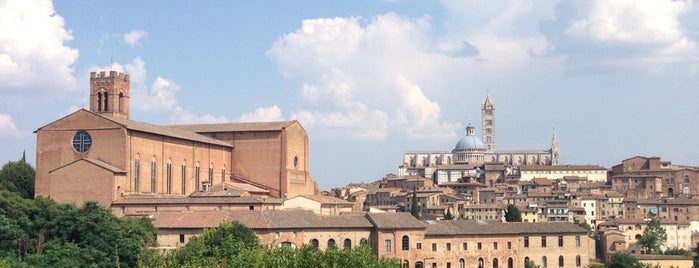Basilica di San Domenico is one of Trips / Tuscany.