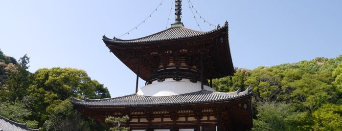 根来寺 is one of 多宝塔 / Two Storied Pagoda in Japan.