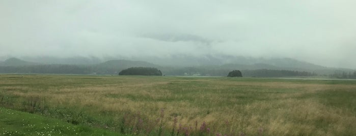 Mendenhall Wetlands is one of Alaska.