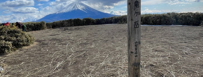 竜ヶ岳 is one of 日本の🗻ちゃん(⌒▽⌒).