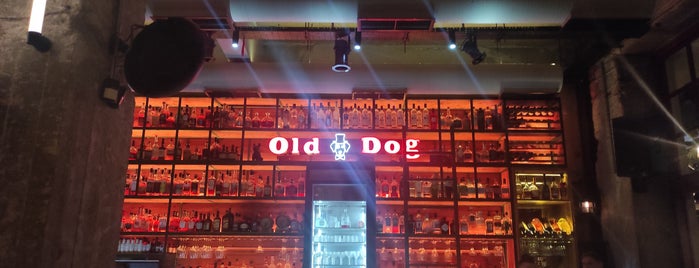 Old Dog is one of athens drinks.