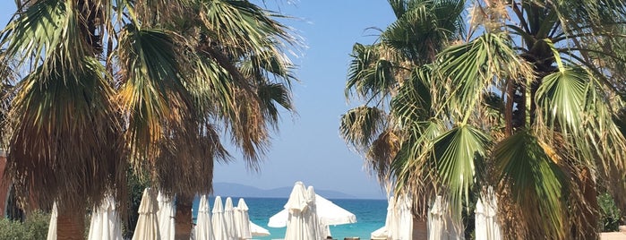 7800 Çeşme Beach is one of Sarp : понравившиеся места.