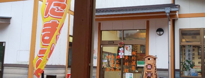 熱川温泉資料館 is one of 伊豆.