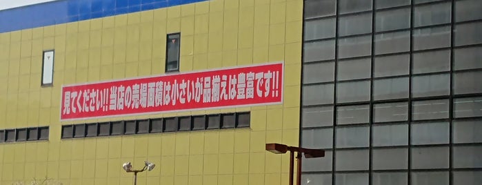 ヤマダデンキ テックランド浜松中央店 is one of 登下校の道.