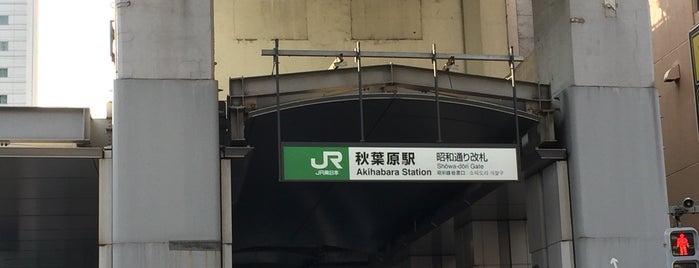 秋葉原駅 昭和通り口 is one of Lugares favoritos de Sigeki.