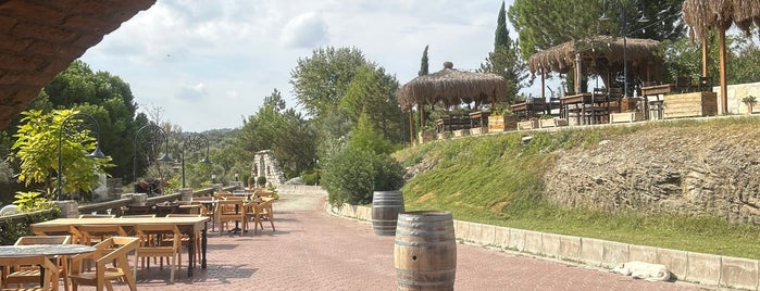 Yedibilgeler Şarapçılık, Butik Otel, Restoran is one of Gidip Denemeli.