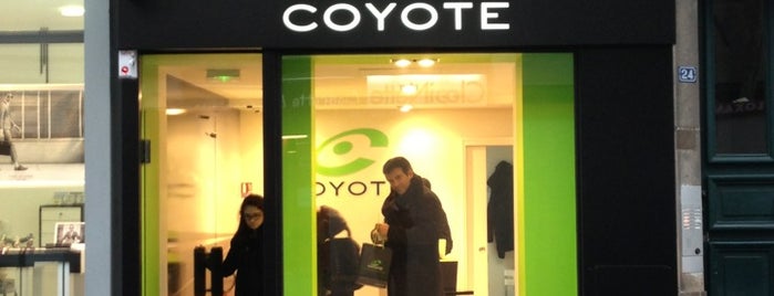Coyote Store is one of Une journée à Nantes.