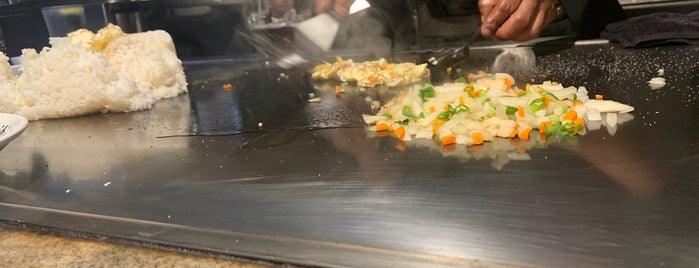 Hibachi Japanese Steak House is one of New places to try.
