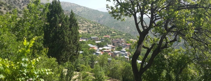 Tuğlu Köyü is one of Lieux qui ont plu à Caddebostan English Academy.