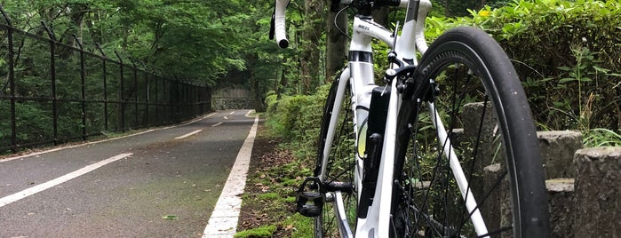 多摩湖自転車道A-24号塚近辺 is one of Kasikoサイクリング編.