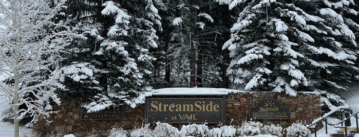 Marriott's StreamSide Evergreen at Vail is one of My Fave Places in the world!.